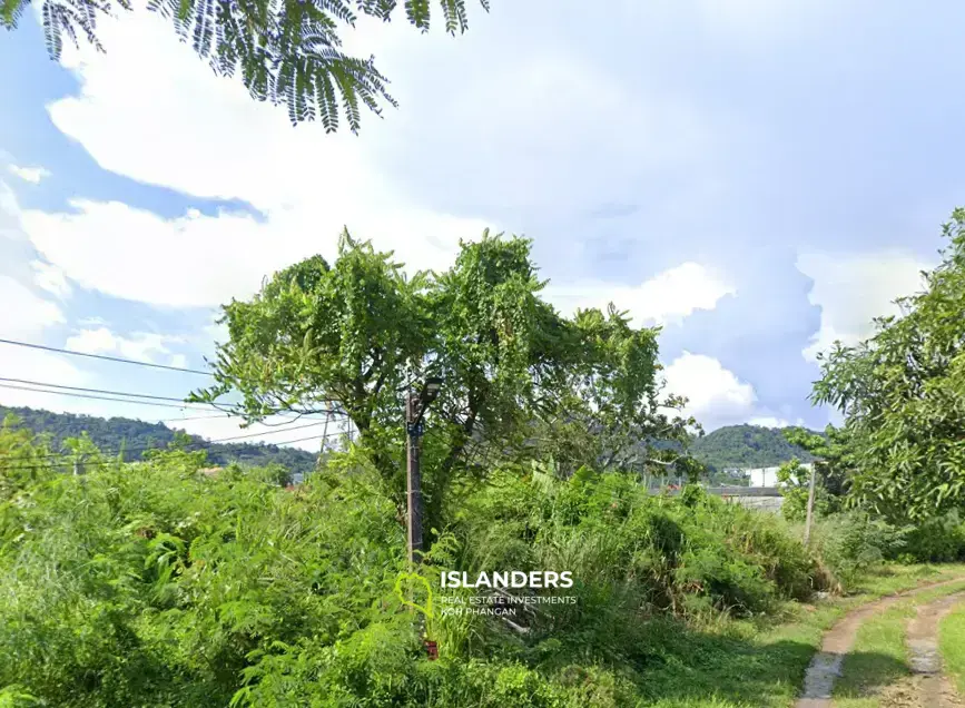 Land Helena - Unique et Grand Terrain de 3 200 m² à proximité de Rawai et de la plage de Nai Harn