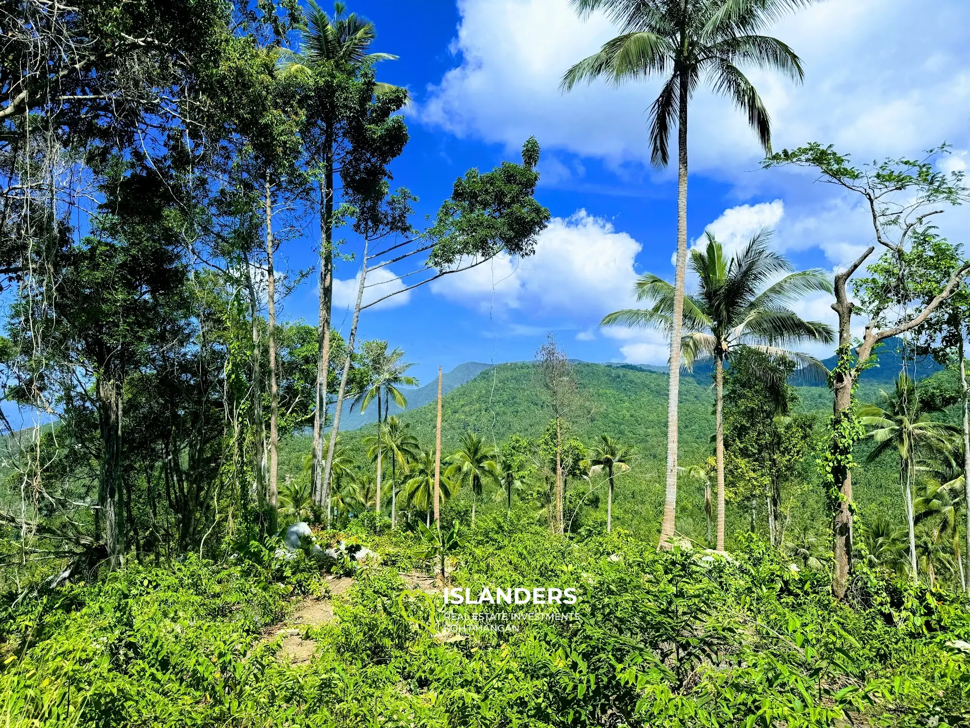 Superbe terrain avec vue mer et Koh Tao sur Haad Yao