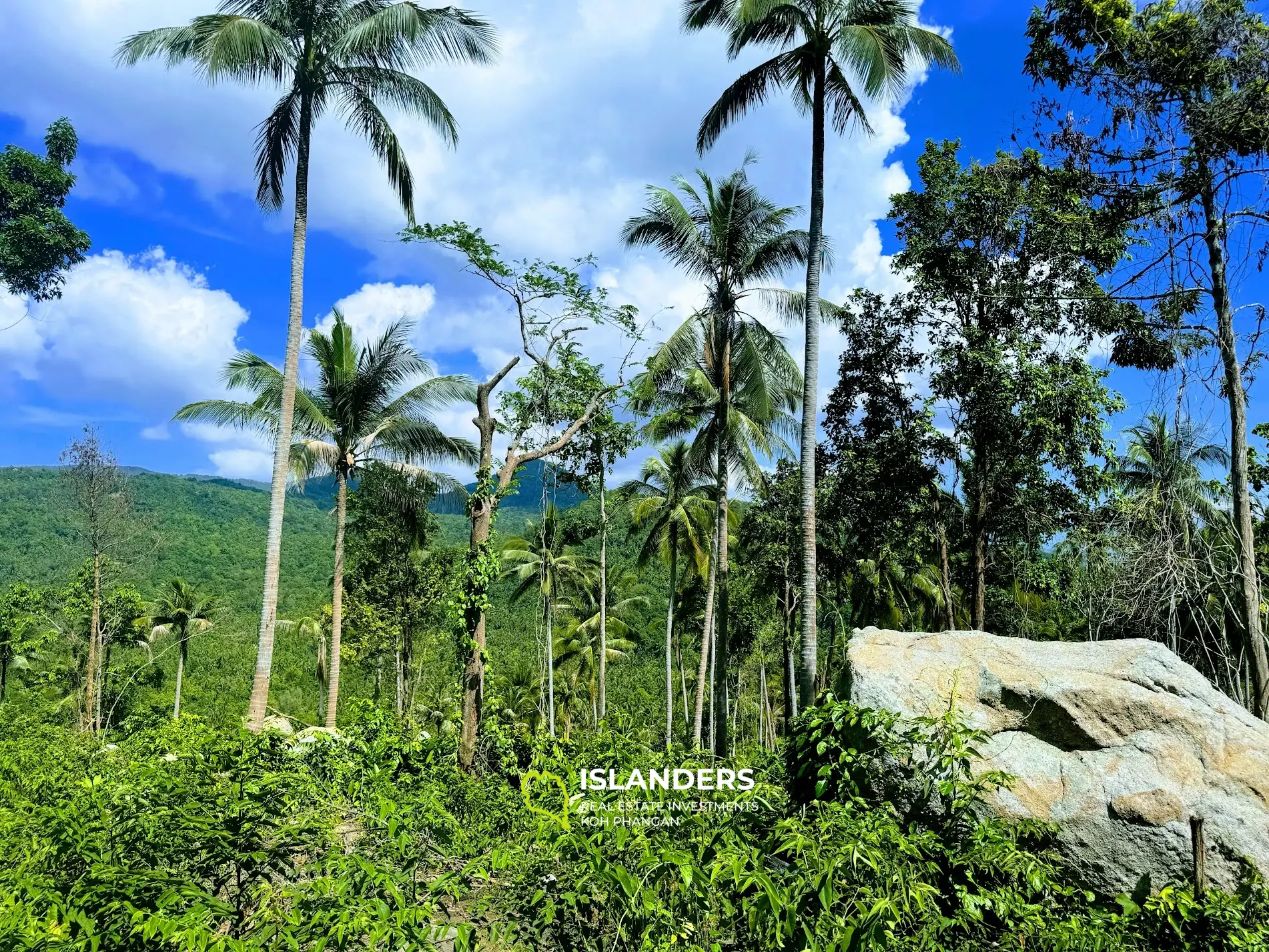 Grundstück mit atemberaubendem Meerblick und Blick auf Koh Tao auf Haad Yao