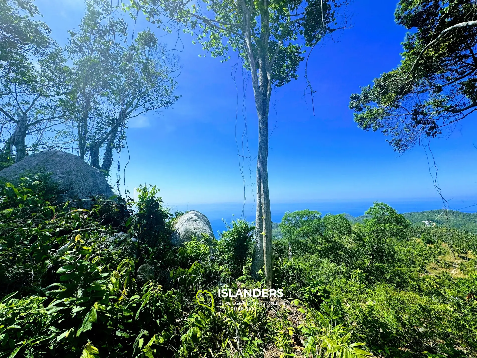 Superbe terrain avec vue mer et Koh Tao sur Haad Yao