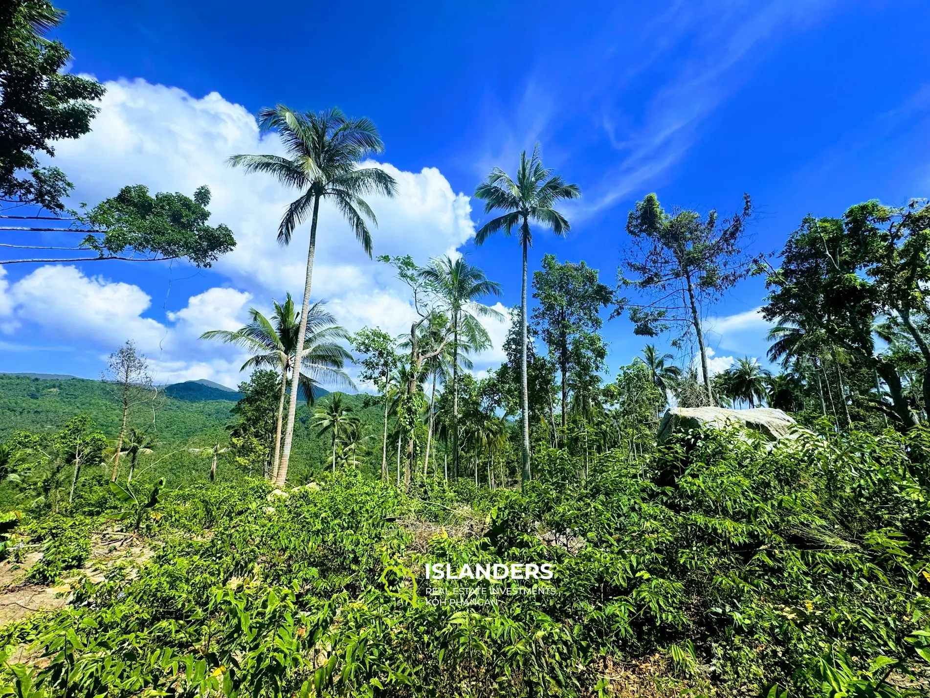 Grundstück mit atemberaubendem Meerblick und Blick auf Koh Tao auf Haad Yao