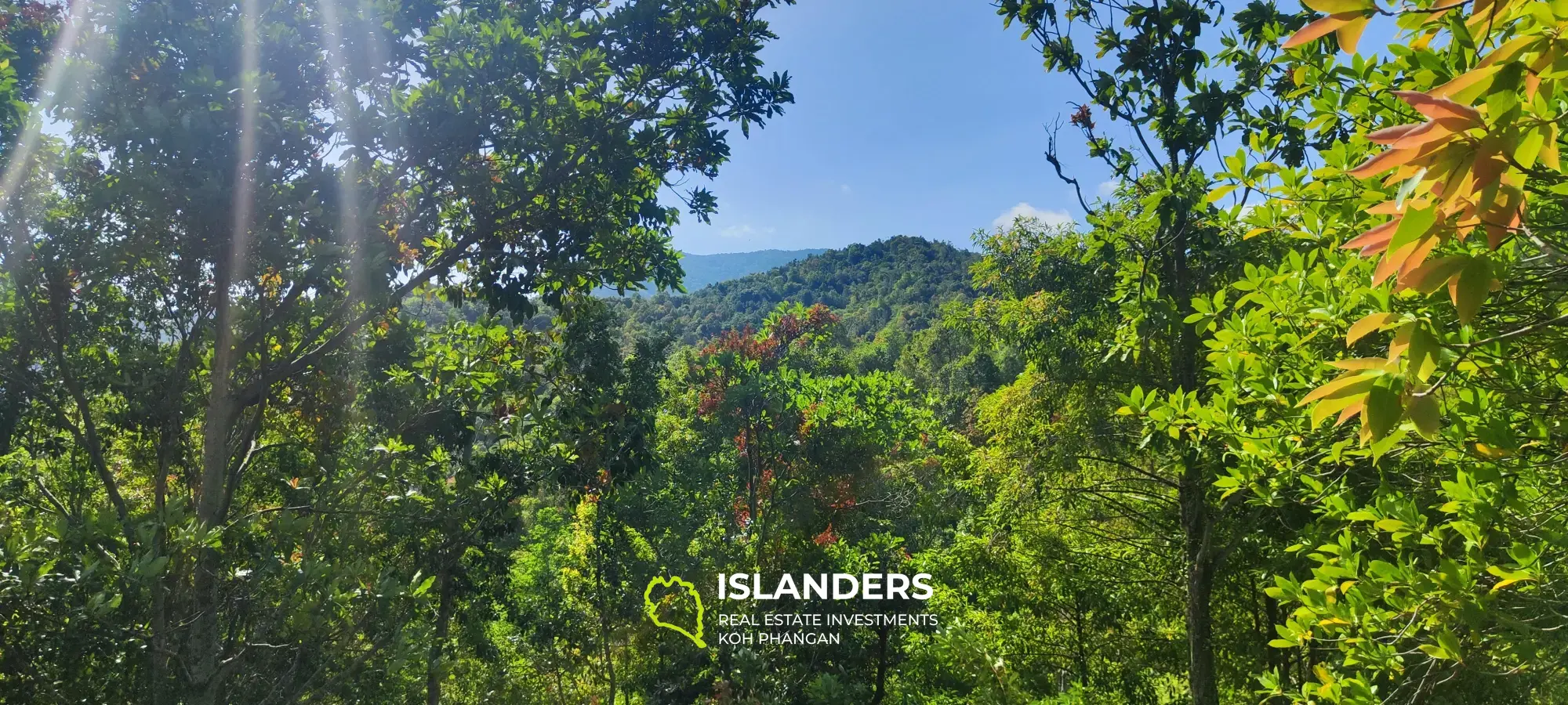 Wunderschönes Meeresland 40 Rai auf Chaloklum