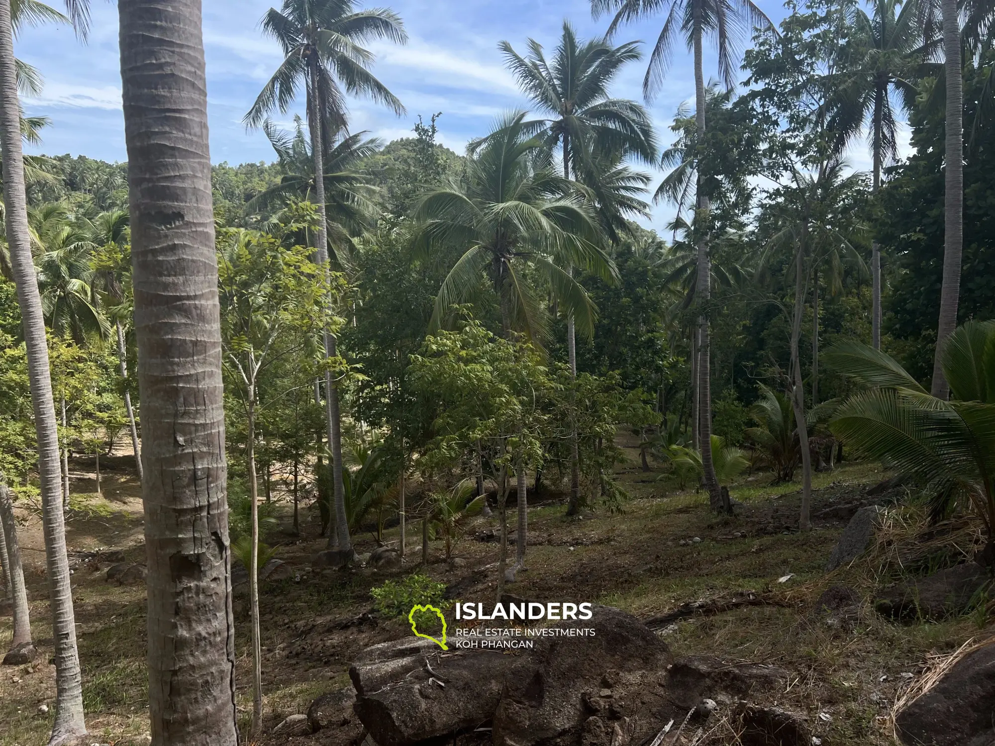 Terrain avec vue sur la jungle à Madua Wan 17 Rai