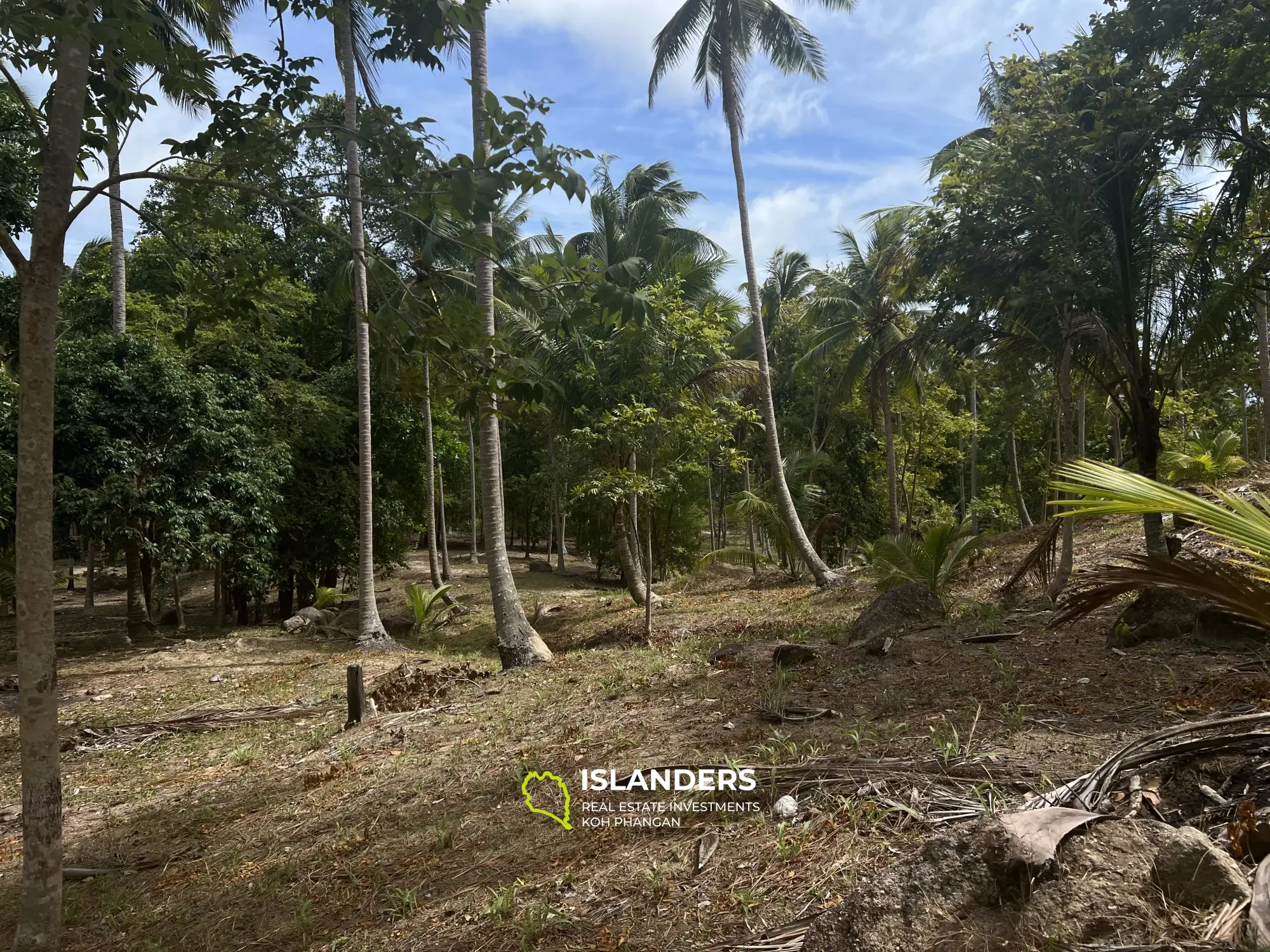 Terrain avec vue sur la jungle à Madua Wan 17 Rai