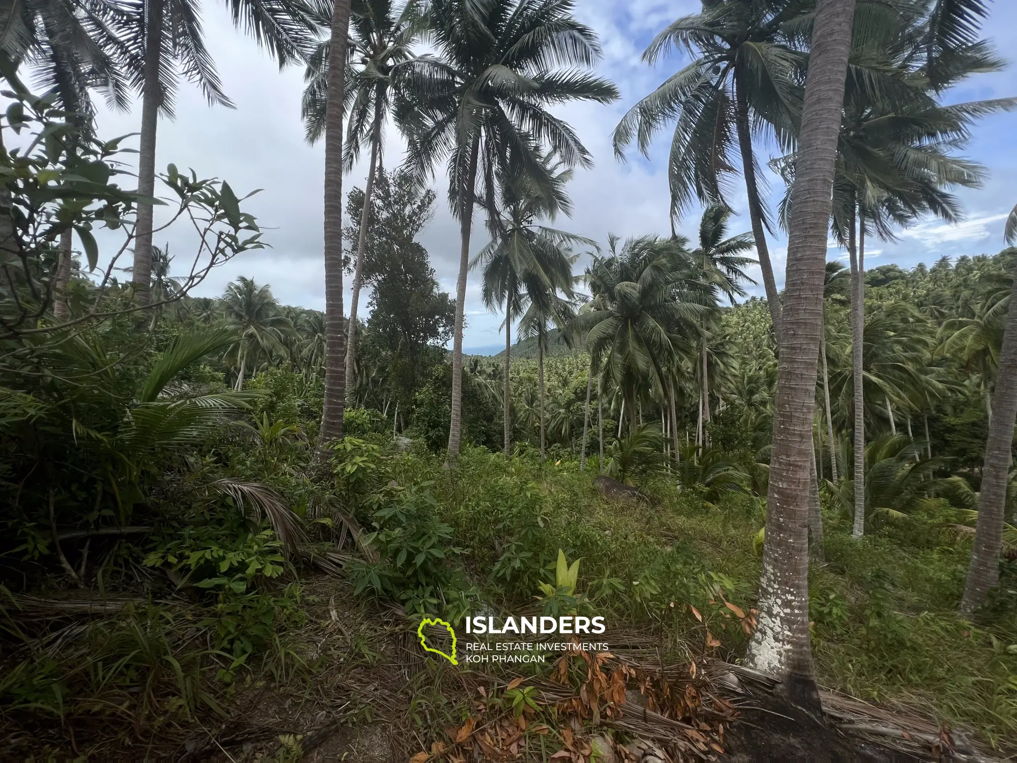 For Sale: Exclusive Sea View Land in Maduwan. 3.500.000 per rai