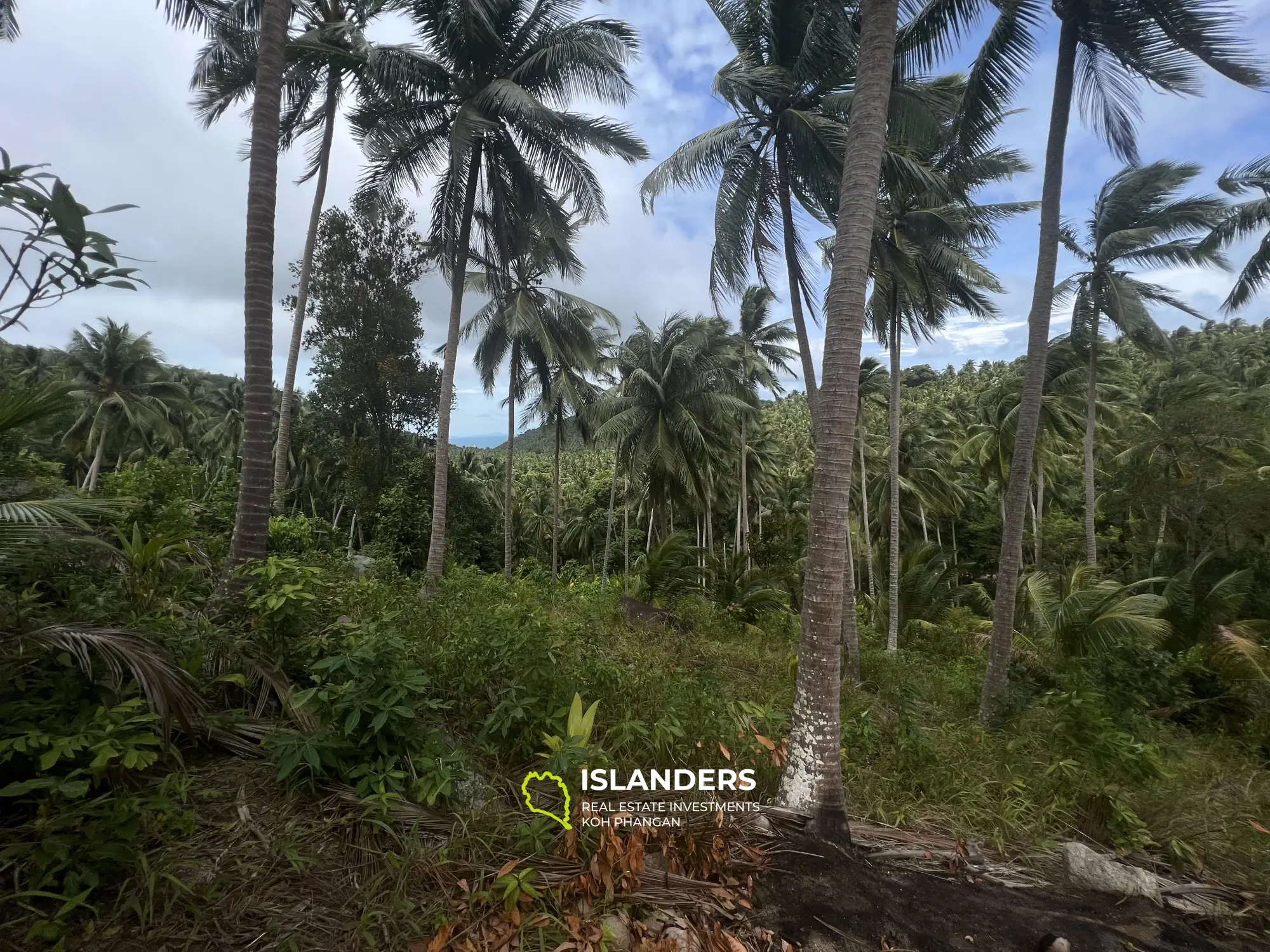 For Sale: Exclusive Sea View Land in Maduwan. 3.500.000 per rai