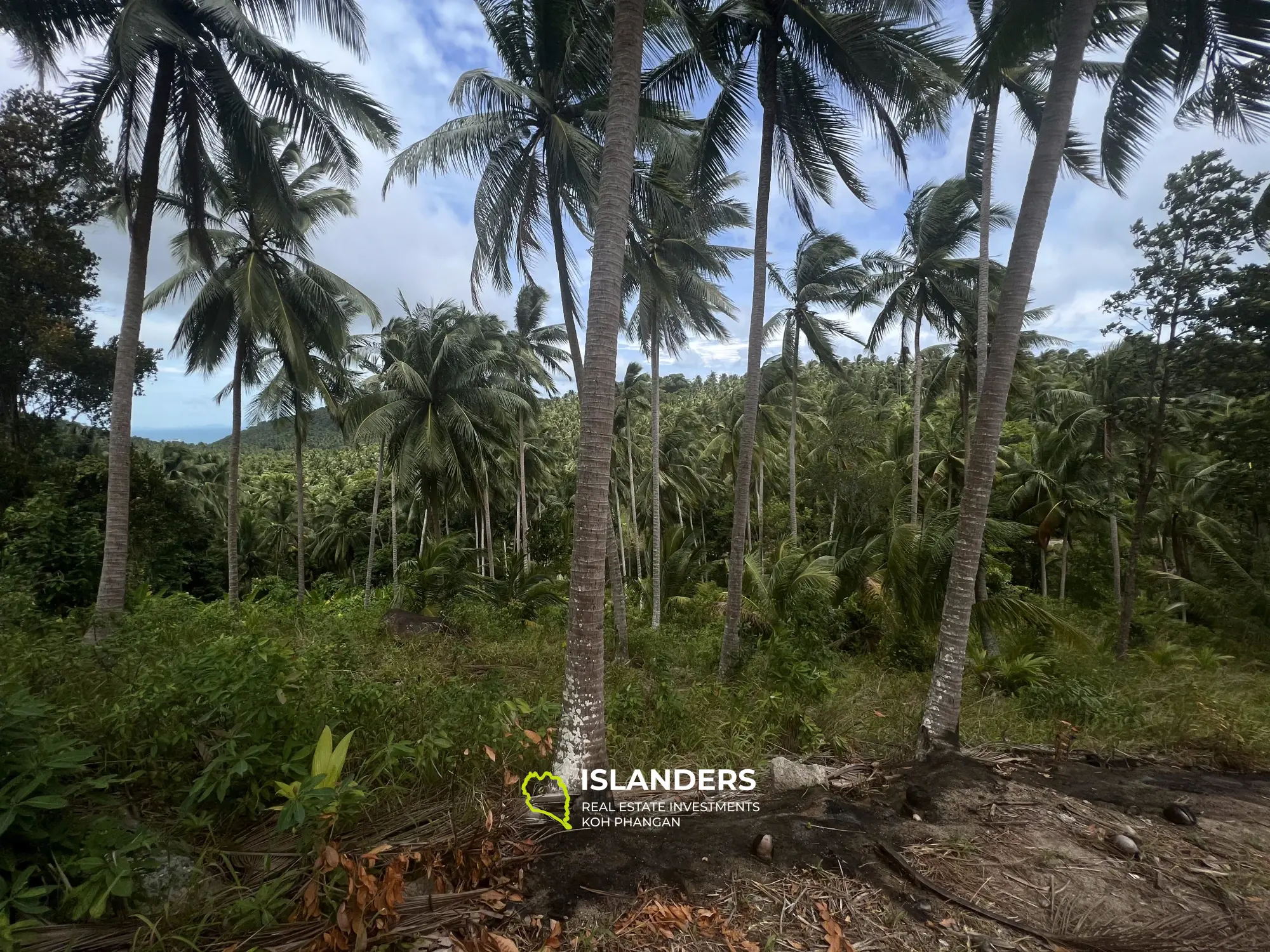 For Sale: Exclusive Sea View Land in Maduwan. 3.500.000 per rai