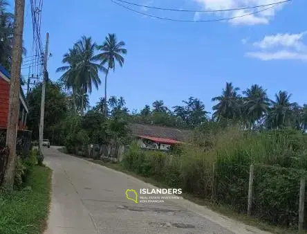 117 SQM Land in Local Area in Samui for Sale