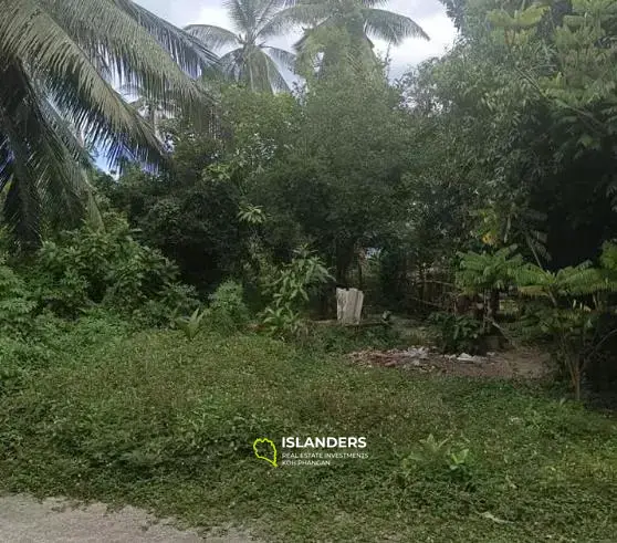 117 SQM Land in Local Area in Samui for Sale