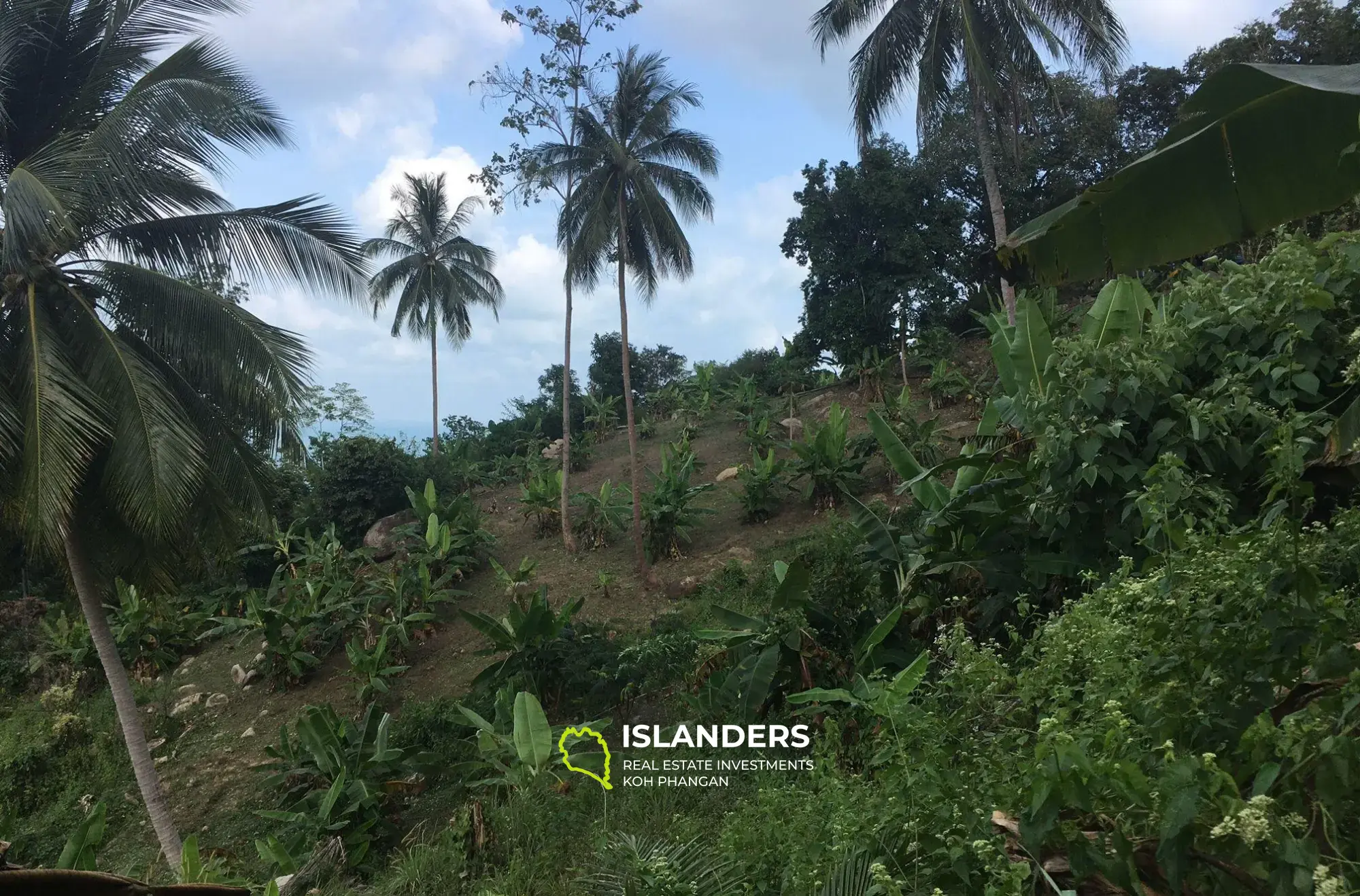 Chaweng Hill Land with sea view