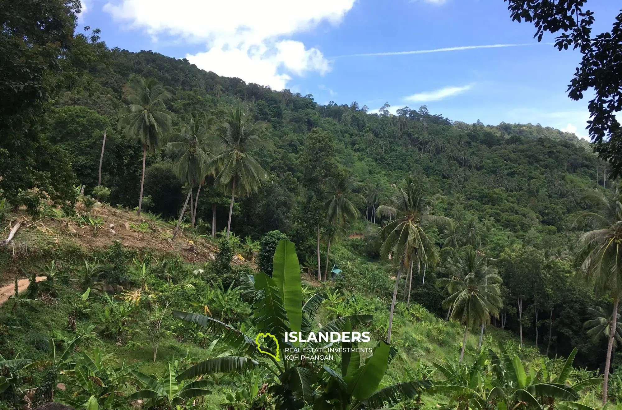 Chaweng Hill Land with sea view