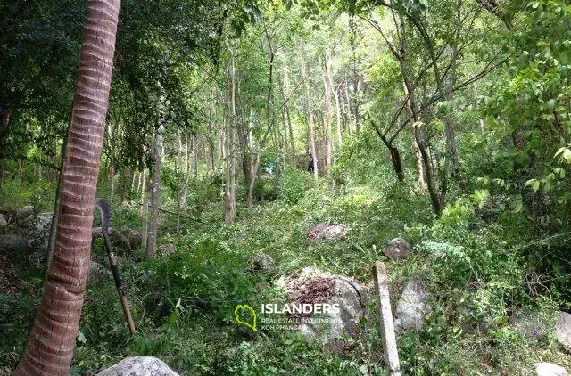 Terrain avec vue sur la mer de Chaweng Hill