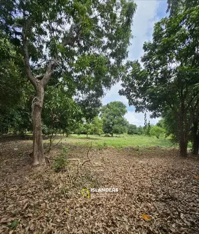 Flat Land in Choengmon with Mountain View