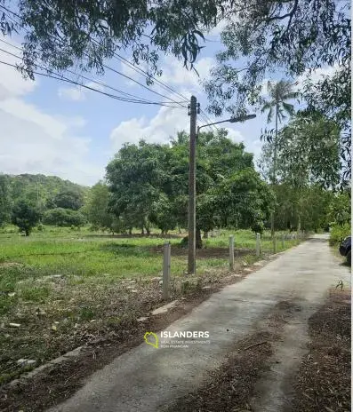 Flat Land in Choengmon with Mountain View