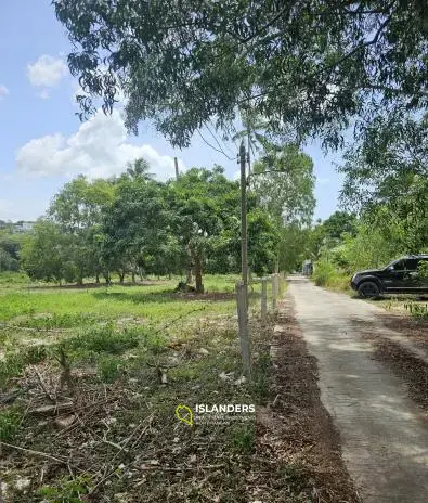 Flat Land in Choengmon with Mountain View