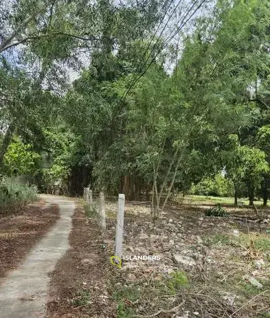 Flat Land in Choengmon with Mountain View