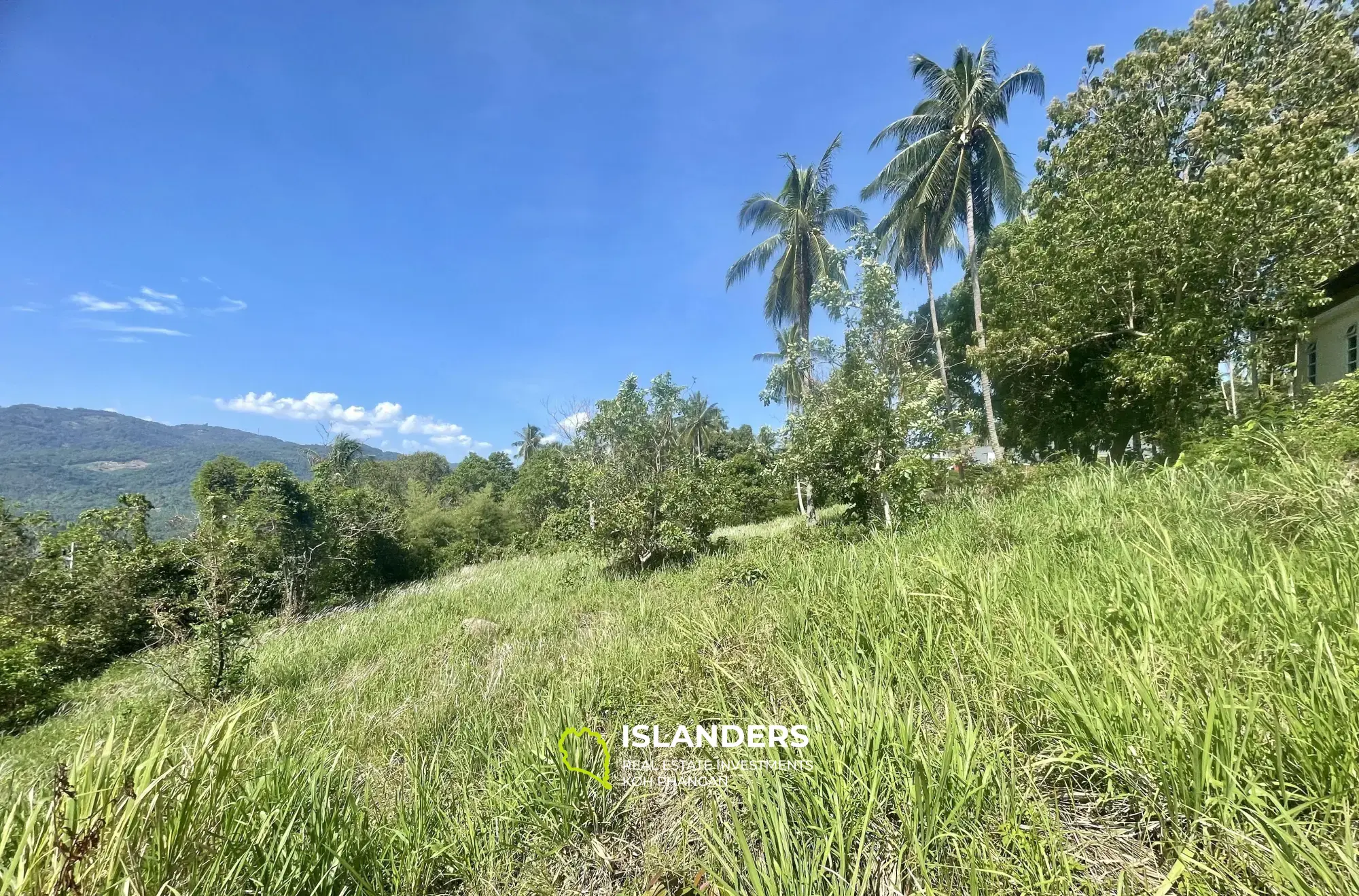 Terrain non bloqué de 3 017 m² avec vue sur la mer à Taling Ngam