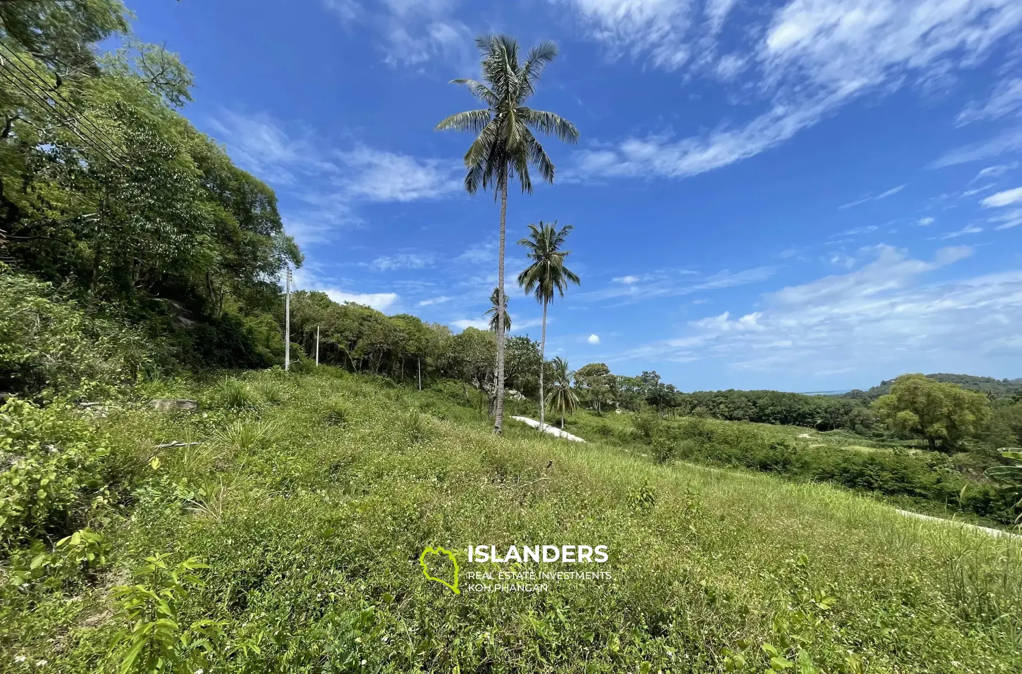 Superbe terrain avec vue sur la mer à Thong Krut à vendre