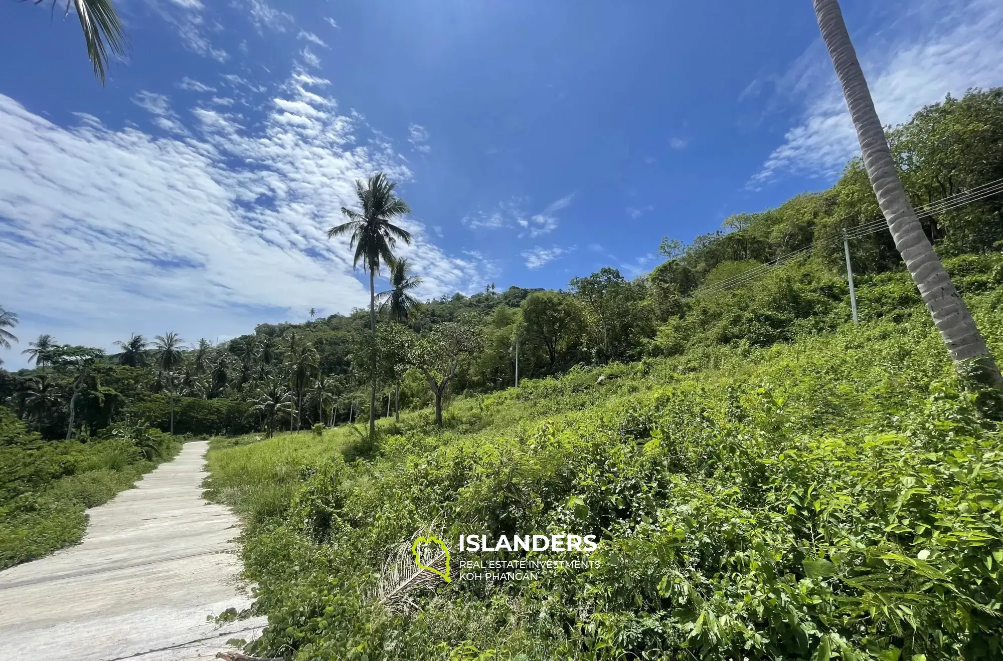 Superbe terrain avec vue sur la mer à Thong Krut à vendre