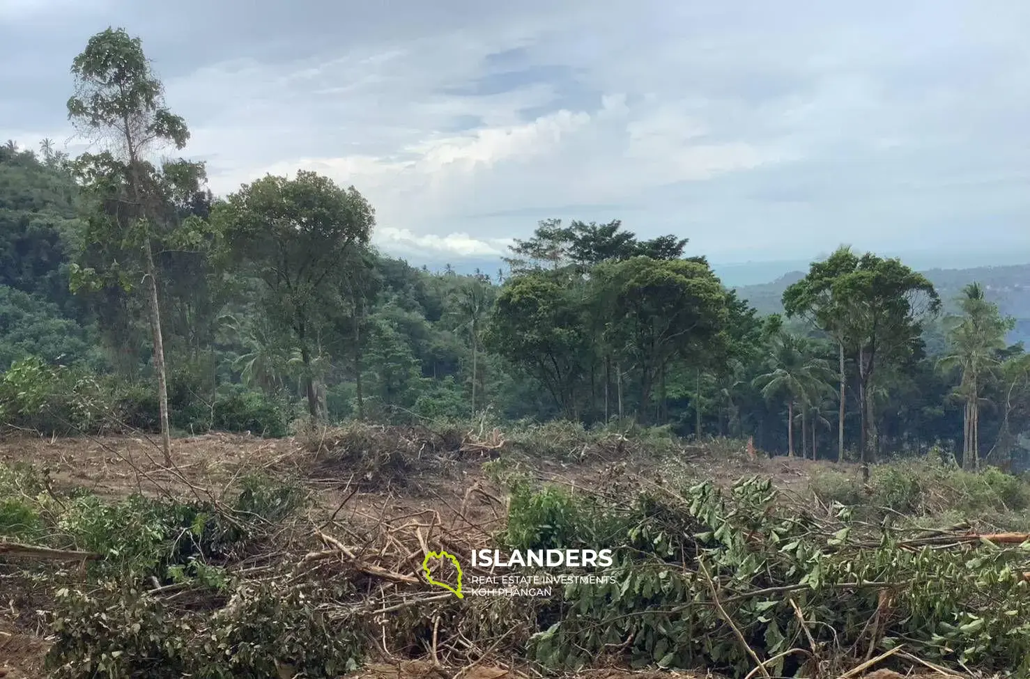 Sea View Land for Sale on Lipa Noi Mountain