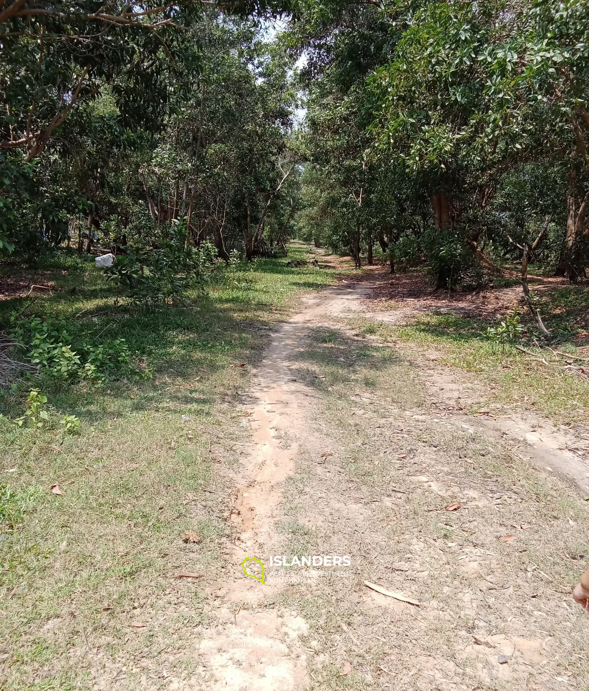 Terrain à vendre près du parc Stade Rim Phru Na Mueang