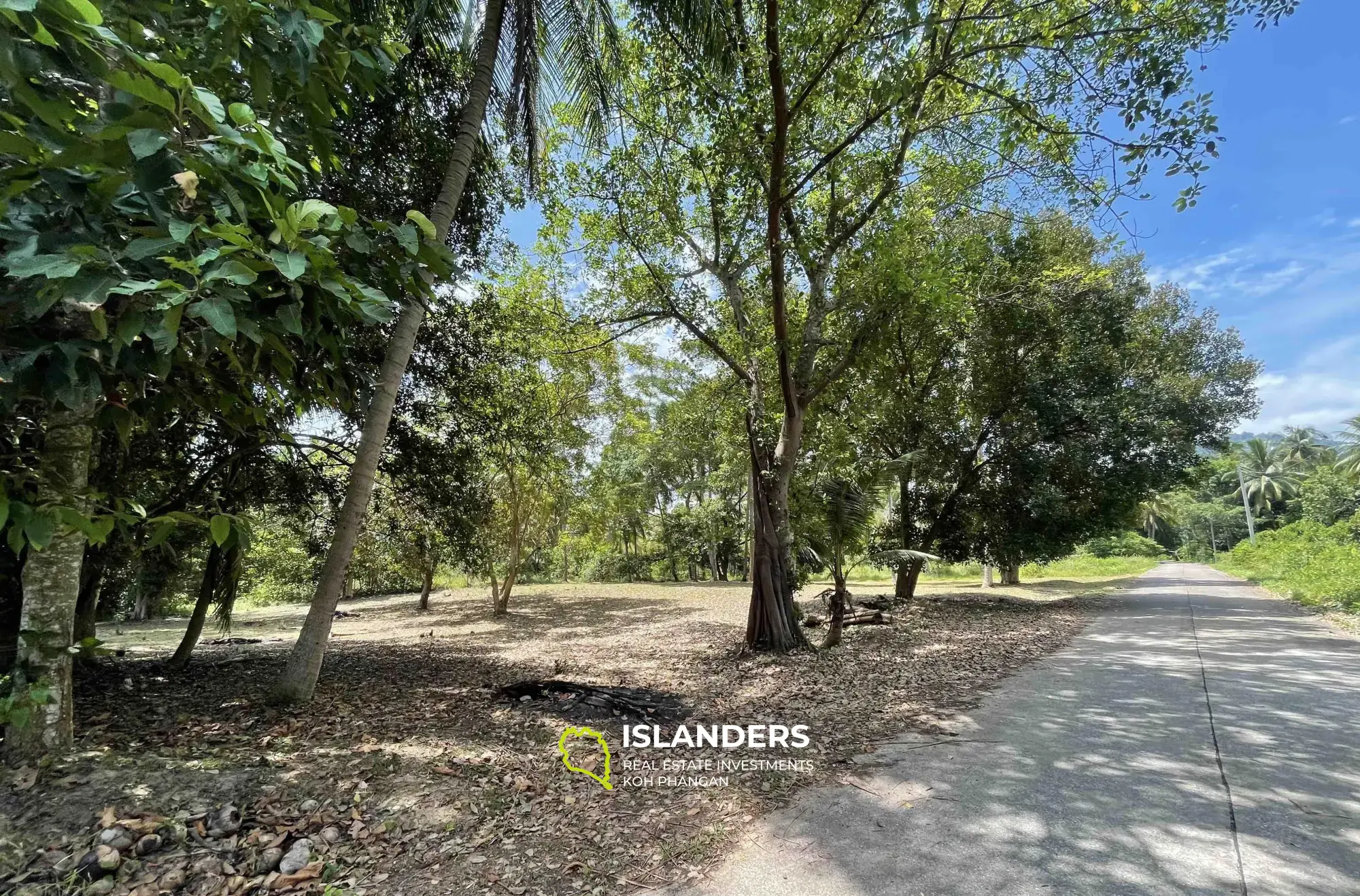 2,332 SQM Garden View Flat Land in Lipa Noi