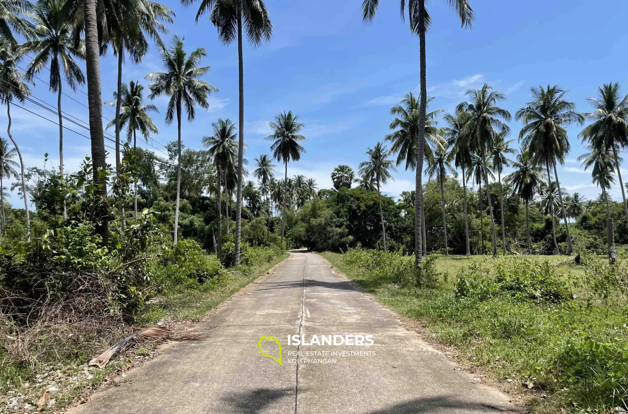 2,332 SQM Garden View Flat Land in Lipa Noi