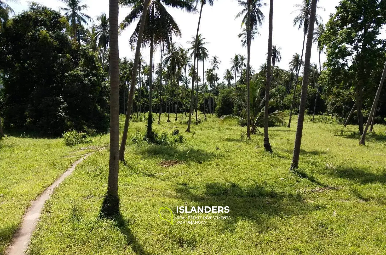 21 Rais Land for Sales in Koh Samui