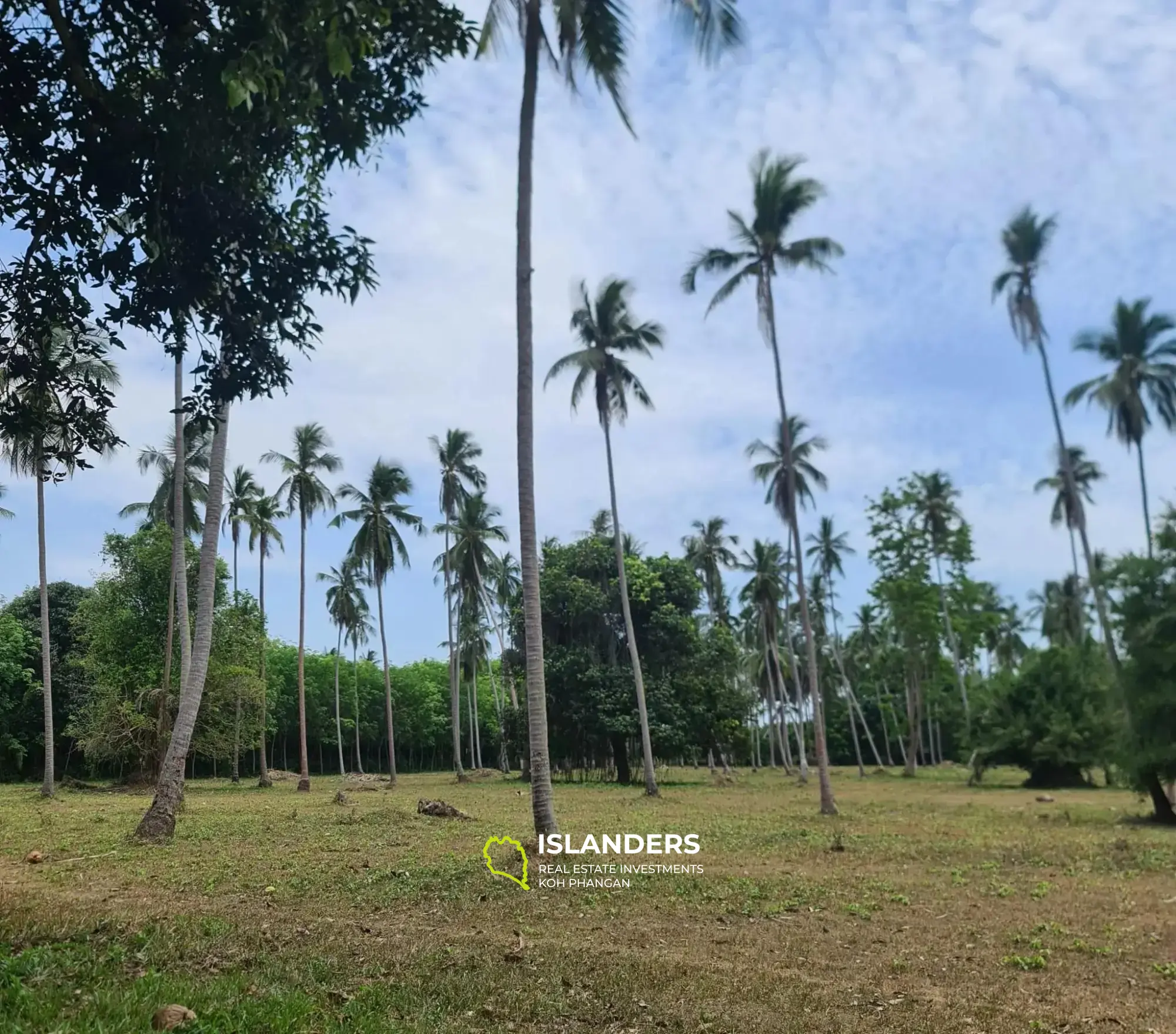 21 Rais Land for Sales in Koh Samui