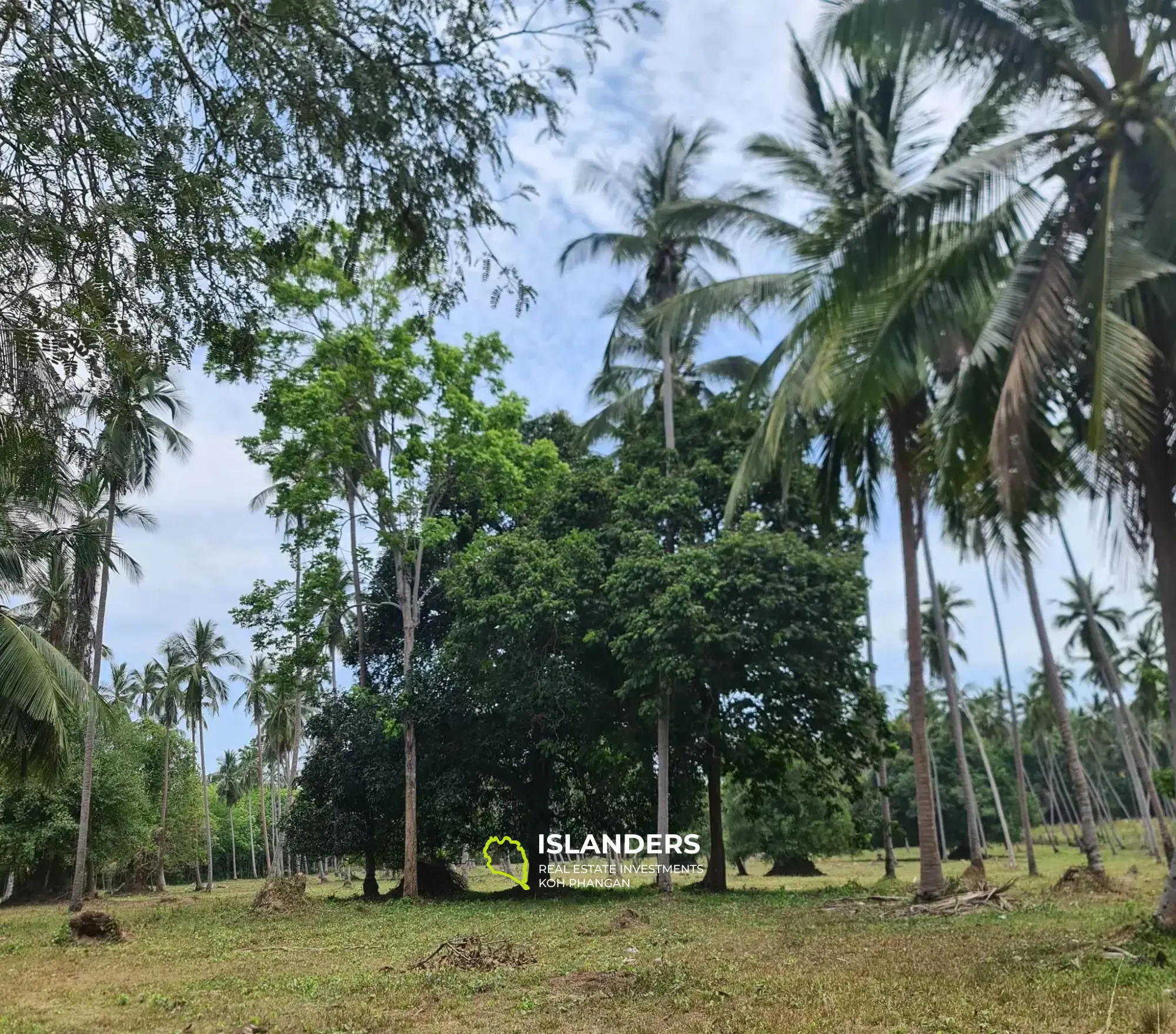 21 Rais Terrain à Vendre à Koh Samui