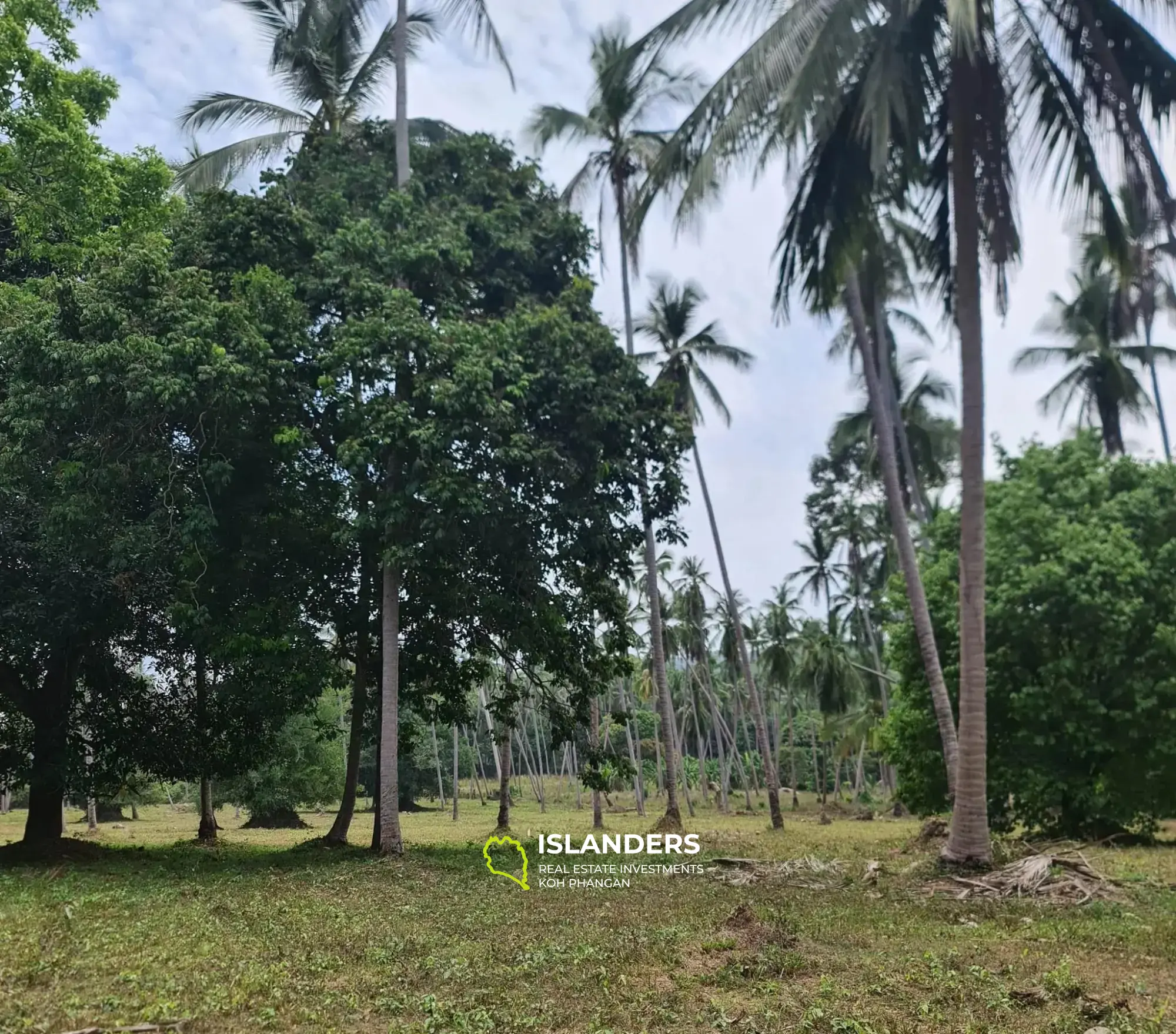 21 Rais Land for Sales in Koh Samui