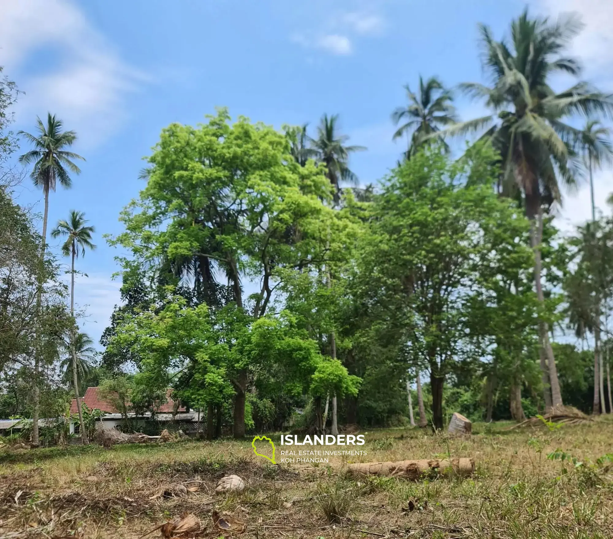 21 Rais Land for Sales in Koh Samui