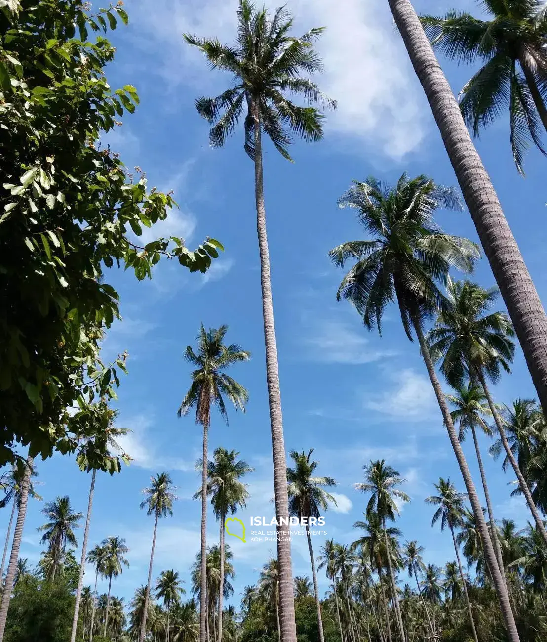 21 Rais Land zum Verkauf in Koh Samui