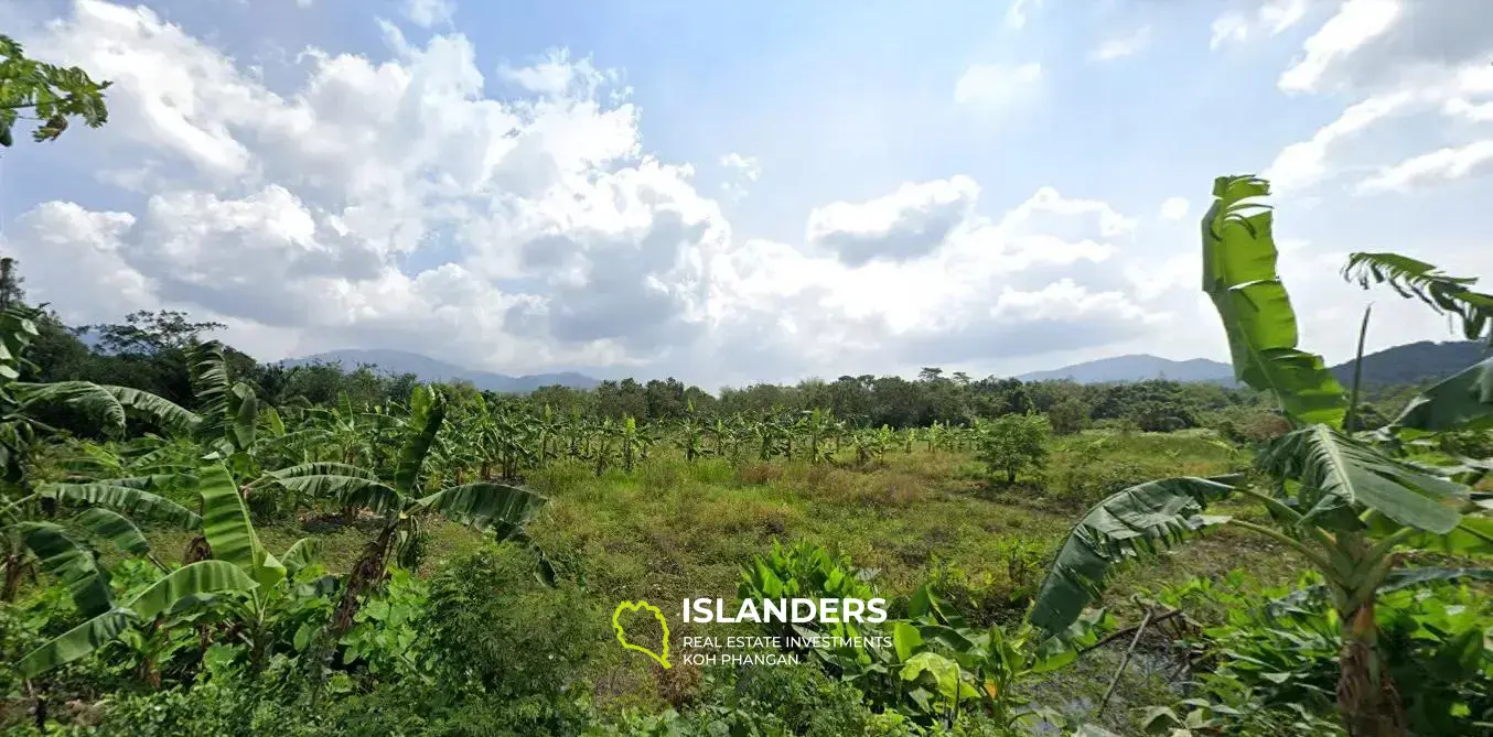 18 Rai Land mit schöner Aussicht zum Verkauf in Koh Samui