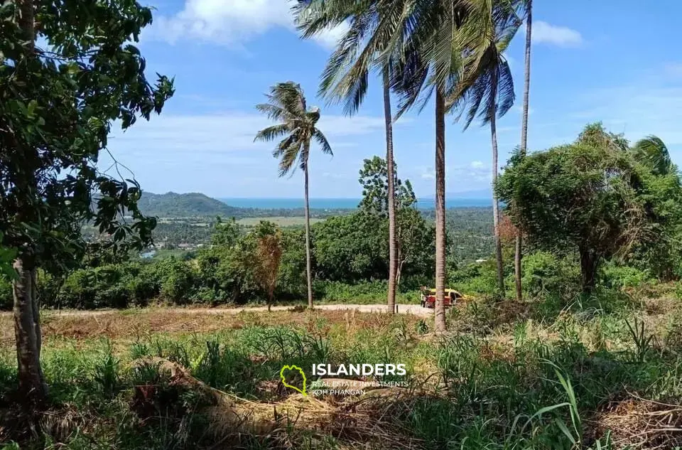 52 Rai Sea View Land for Sale in Na Muang