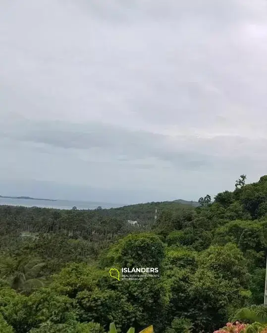 Magnifique terrain avec vue sur la mer à vendre près de la plage de Phang Ka