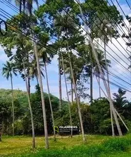 Magnifique terrain avec vue sur la mer à vendre près de la plage de Phang Ka