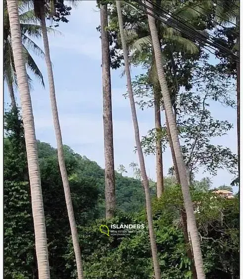 Magnifique terrain avec vue sur la mer à vendre près de la plage de Phang Ka