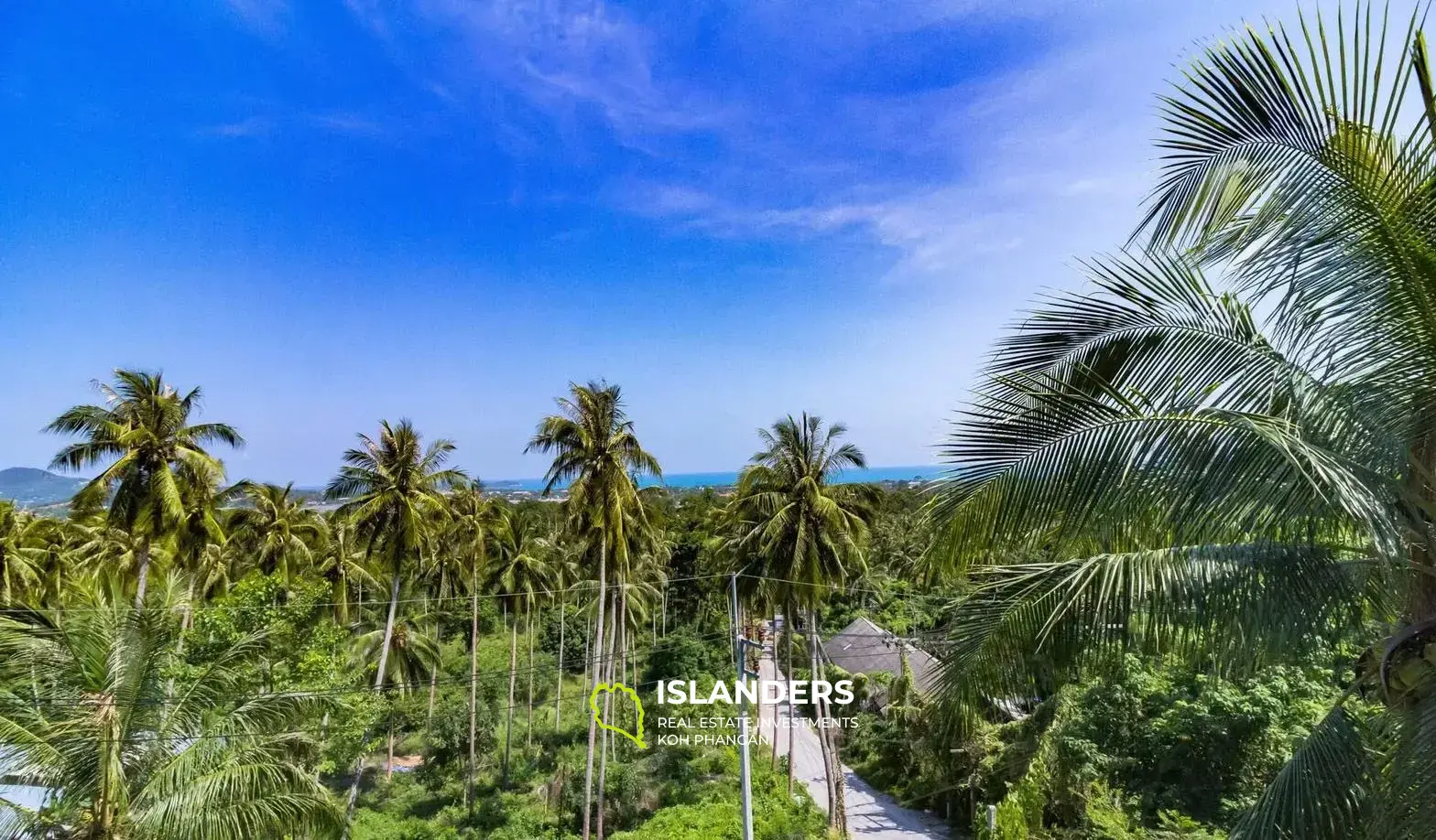 Villa de 4 chambres avec piscine à Chaweng à louer