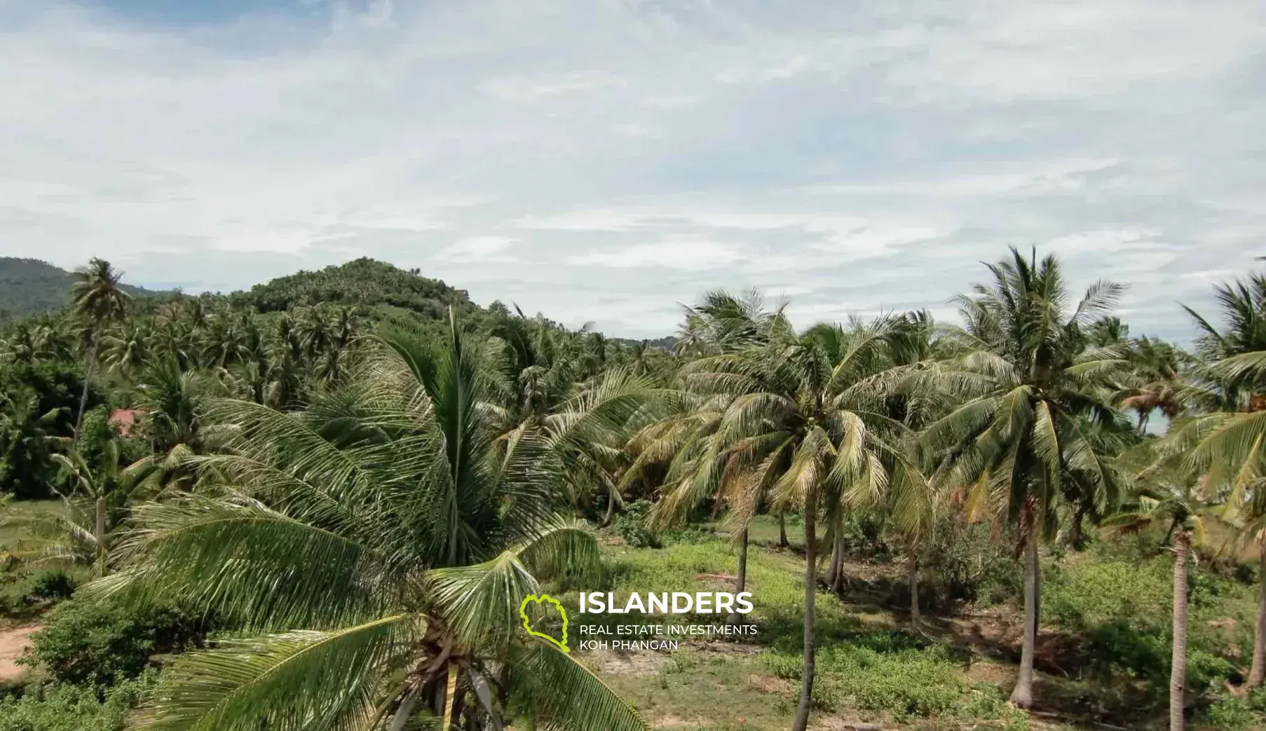 Beachfront Land for Sale 6 Rai