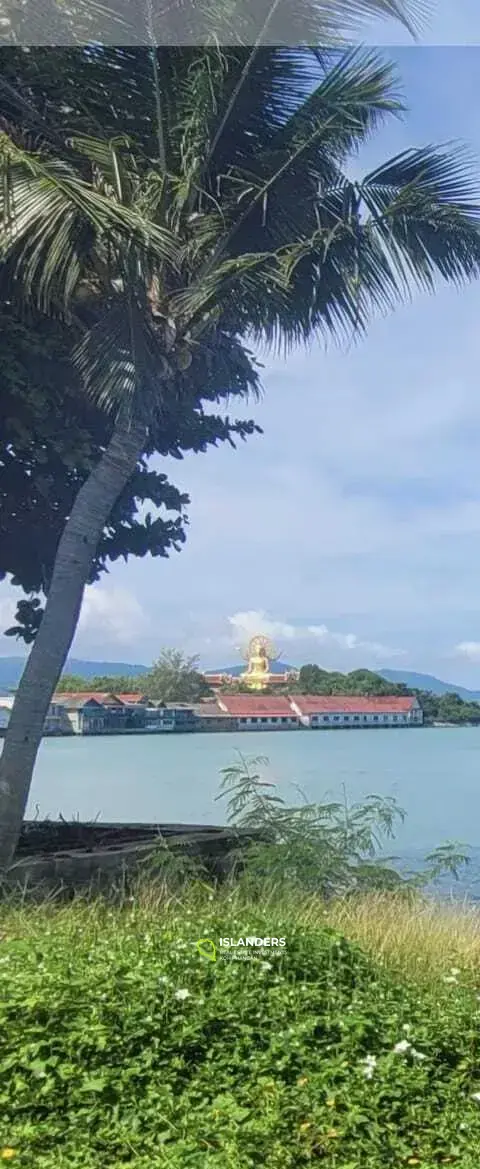 ที่ดินติดชายหาดชั้นนำในปลายแหลม