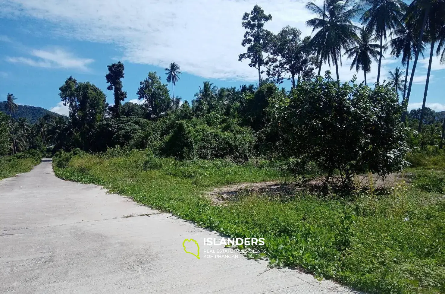 7 Rai Land direkt am Strand in Bang Kao