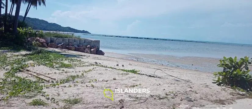 7 Rai Land direkt am Strand in Bang Kao