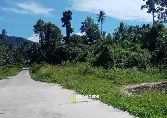 7 Rai Land direkt am Strand in Bang Kao