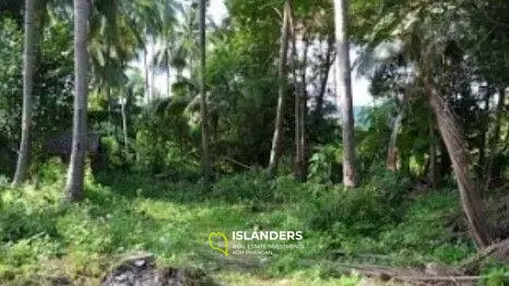 Nice Land Plot 400m from the Beach for Sale 