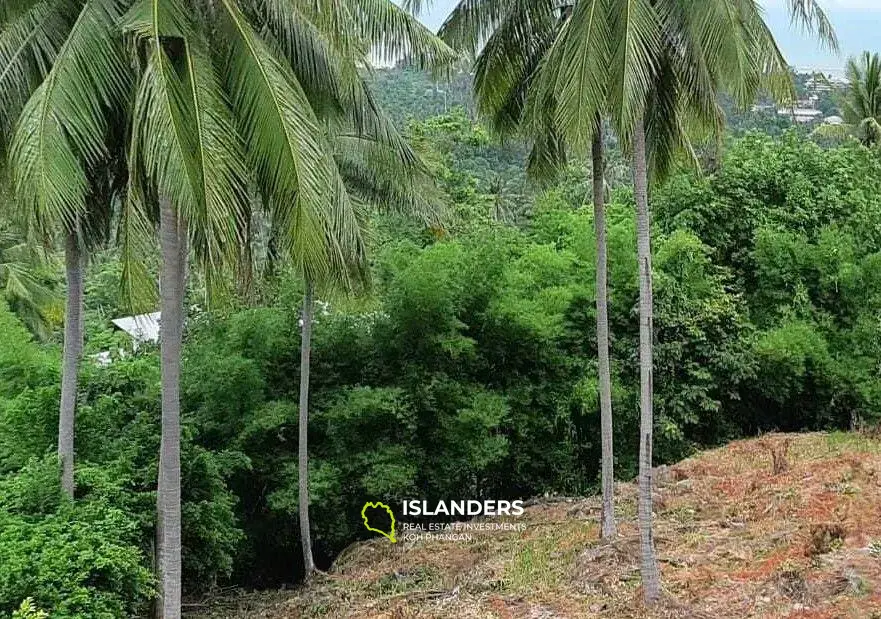 Grundstück mit Meerblick in Ang Thong zu verkaufen