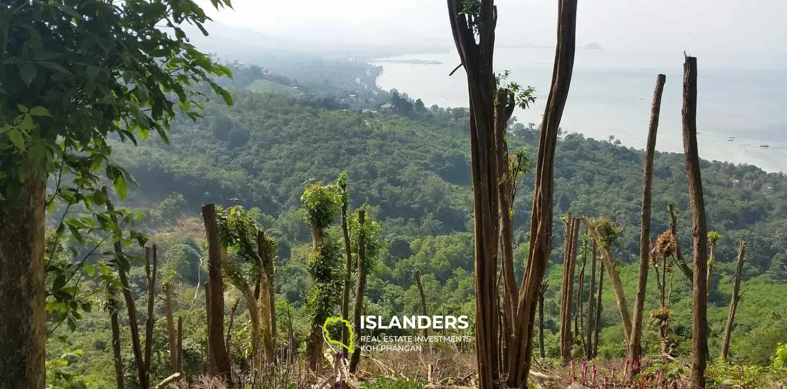 1 Rai avec terrain avec vue sur la mer à vendre à Laemyai