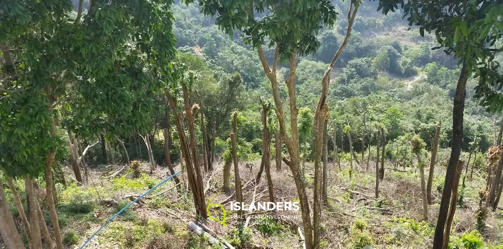 1 Rai avec terrain avec vue sur la mer à vendre à Laemyai