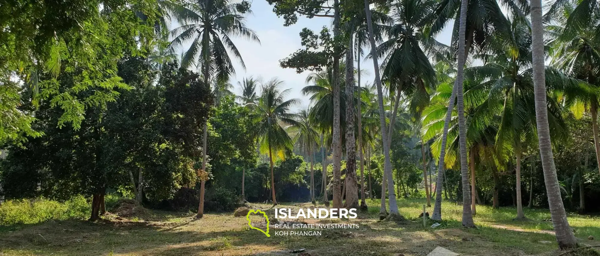 1 Rai Land for Sale in Thong Krut 