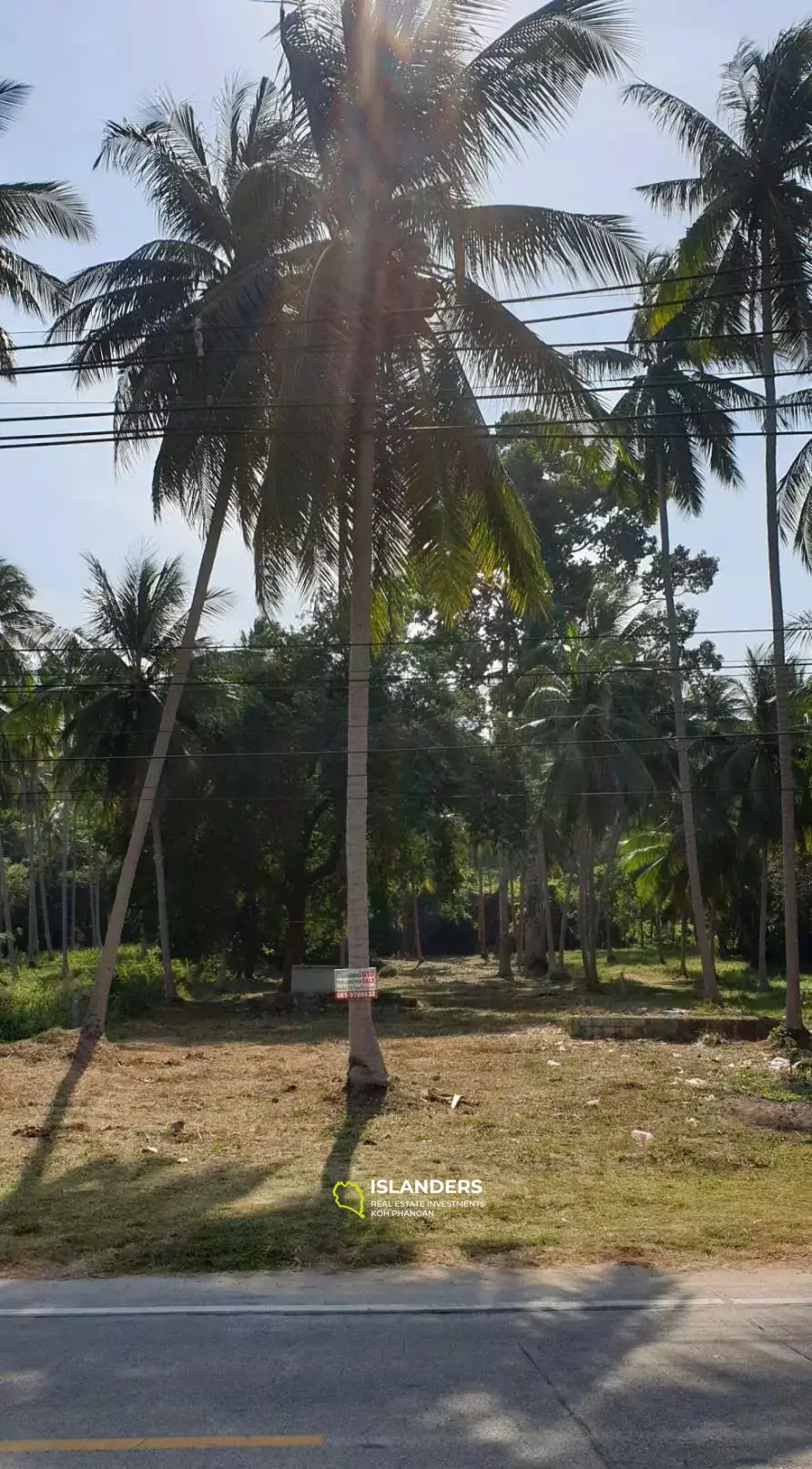 1 Rai Land zum Verkauf in Thong Krut